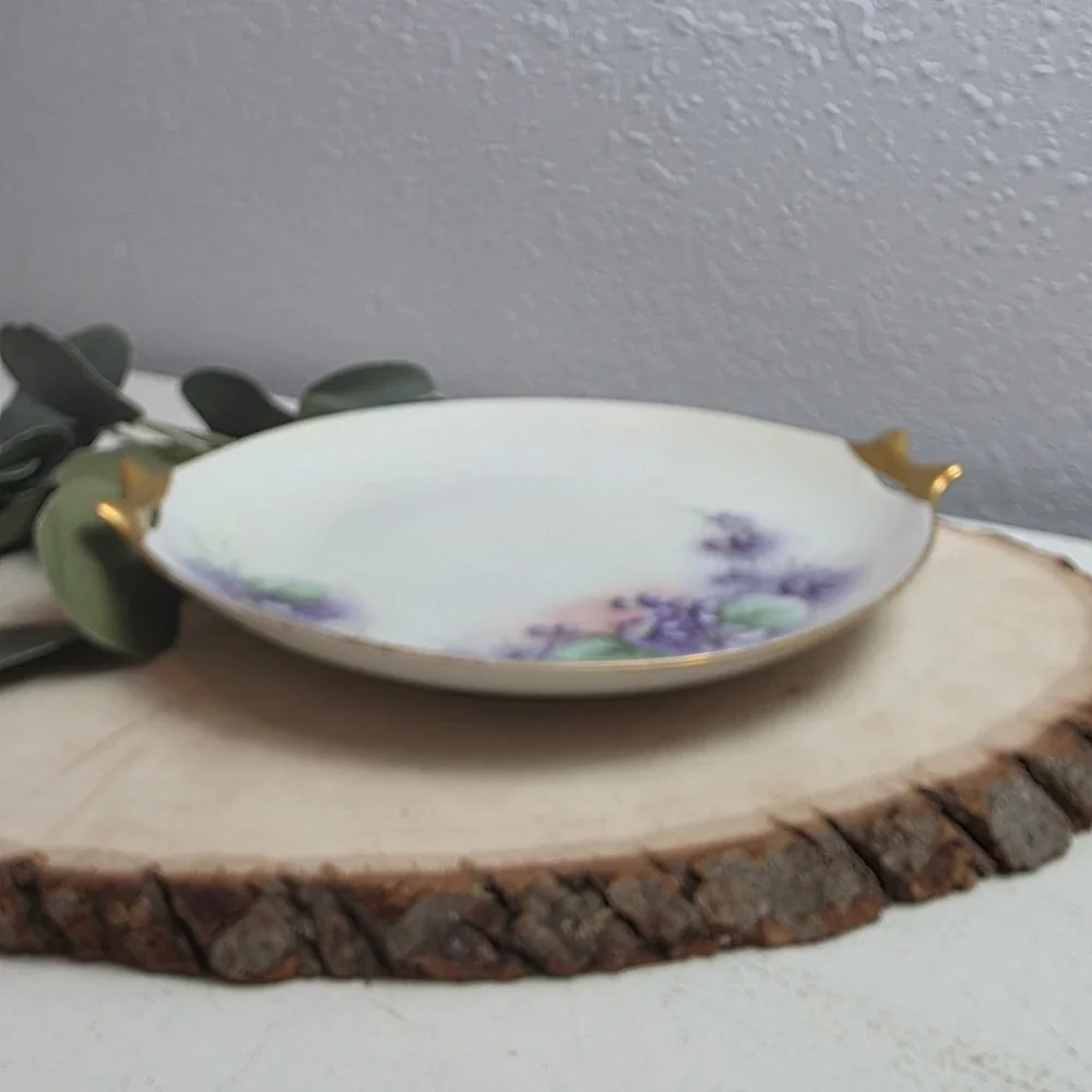Antique Hutschenreuther Hand‎ Painted Porcelain Violet Cake Plate Gold Handles